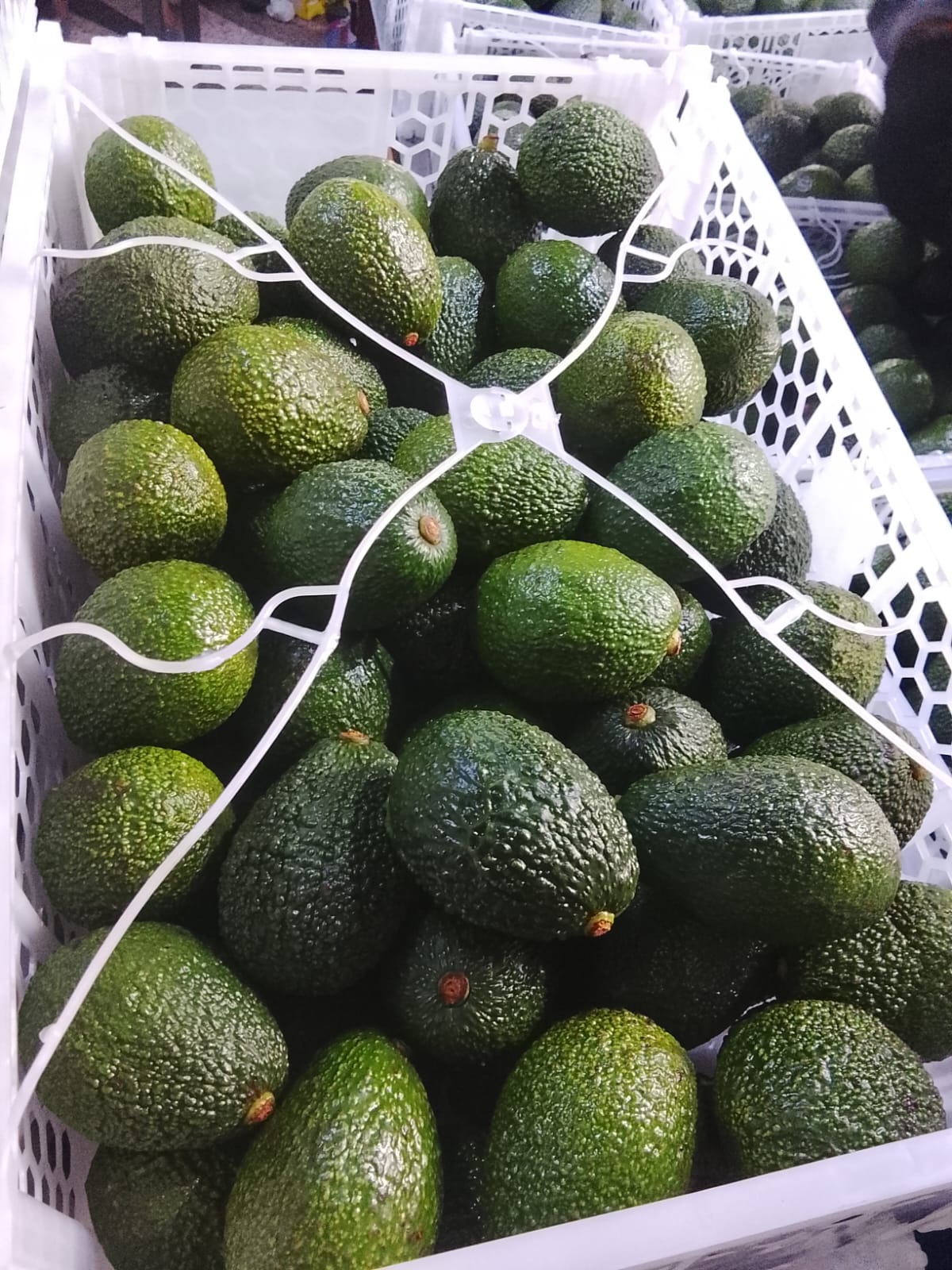 Avocados, Mangoes & More